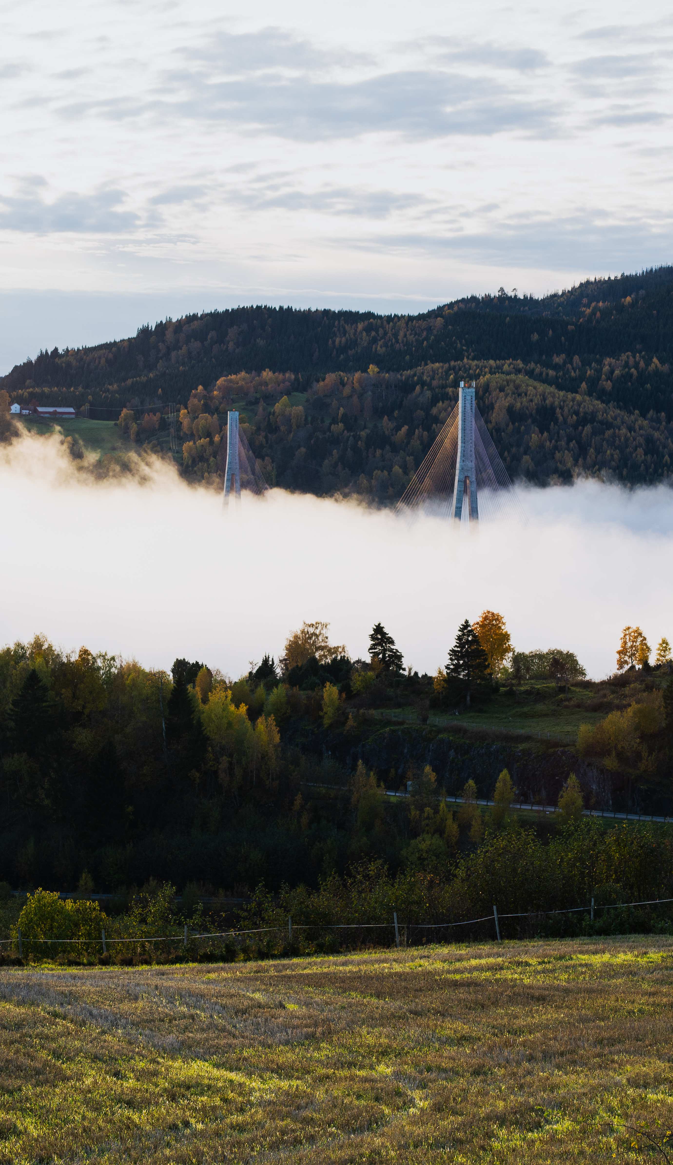 Bridge emerging from fog with autumn forest