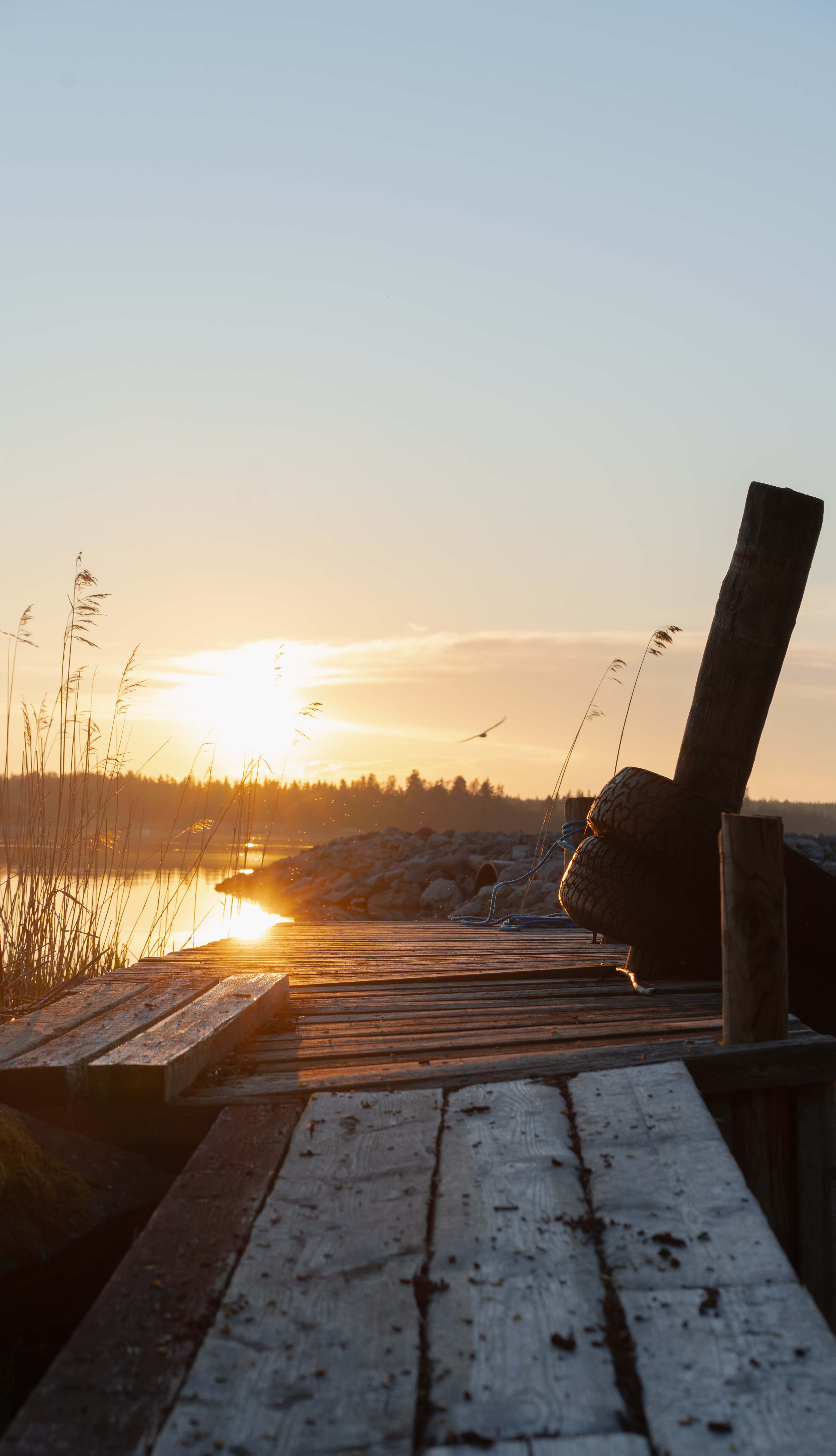 Golden sunset view from a wooden dock with reeds